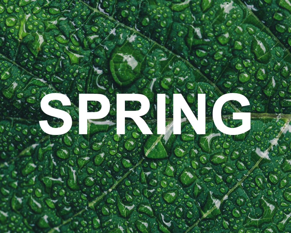Foto de SPRING