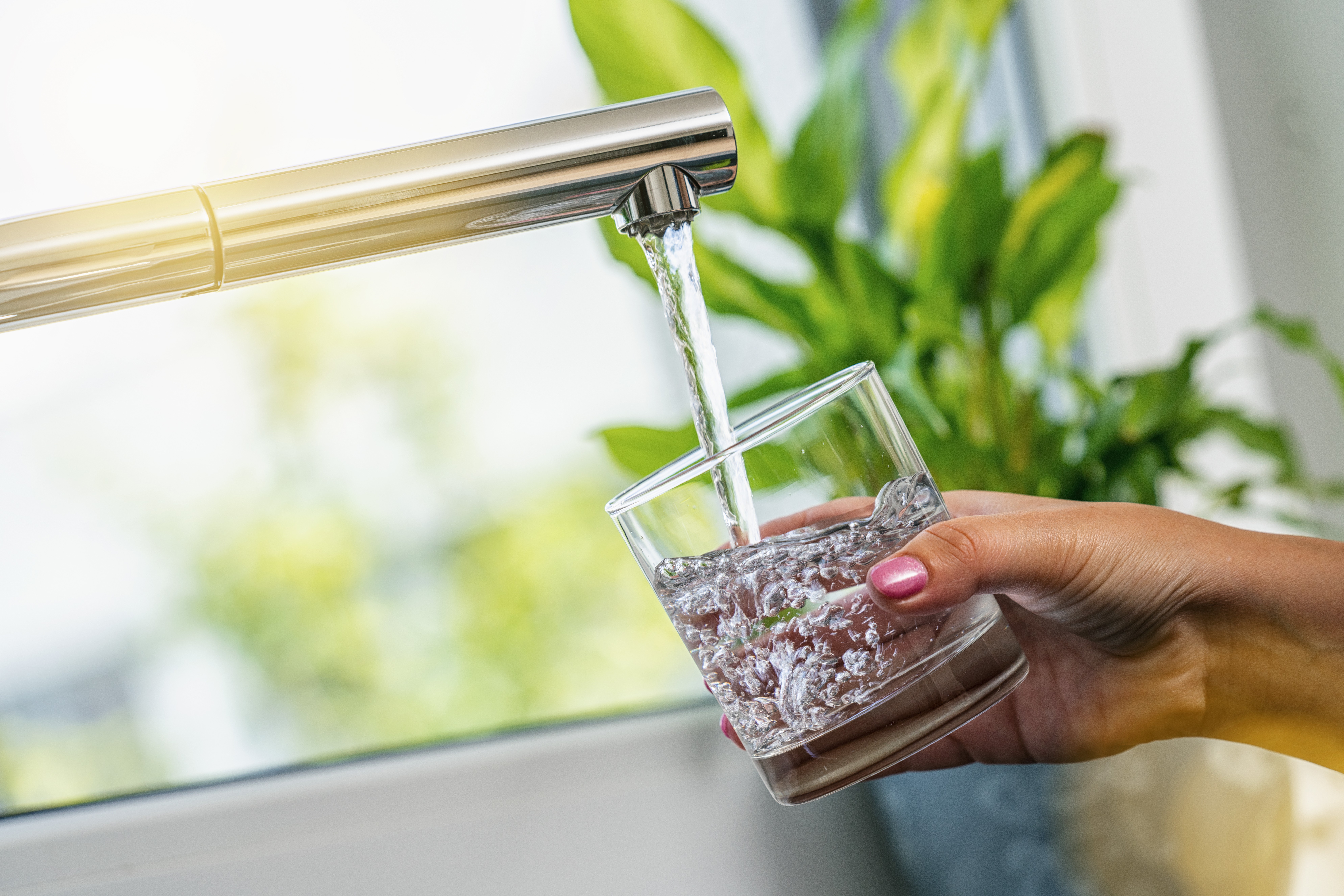Hand filling a glass with running water from a faucet near a window and green plants.