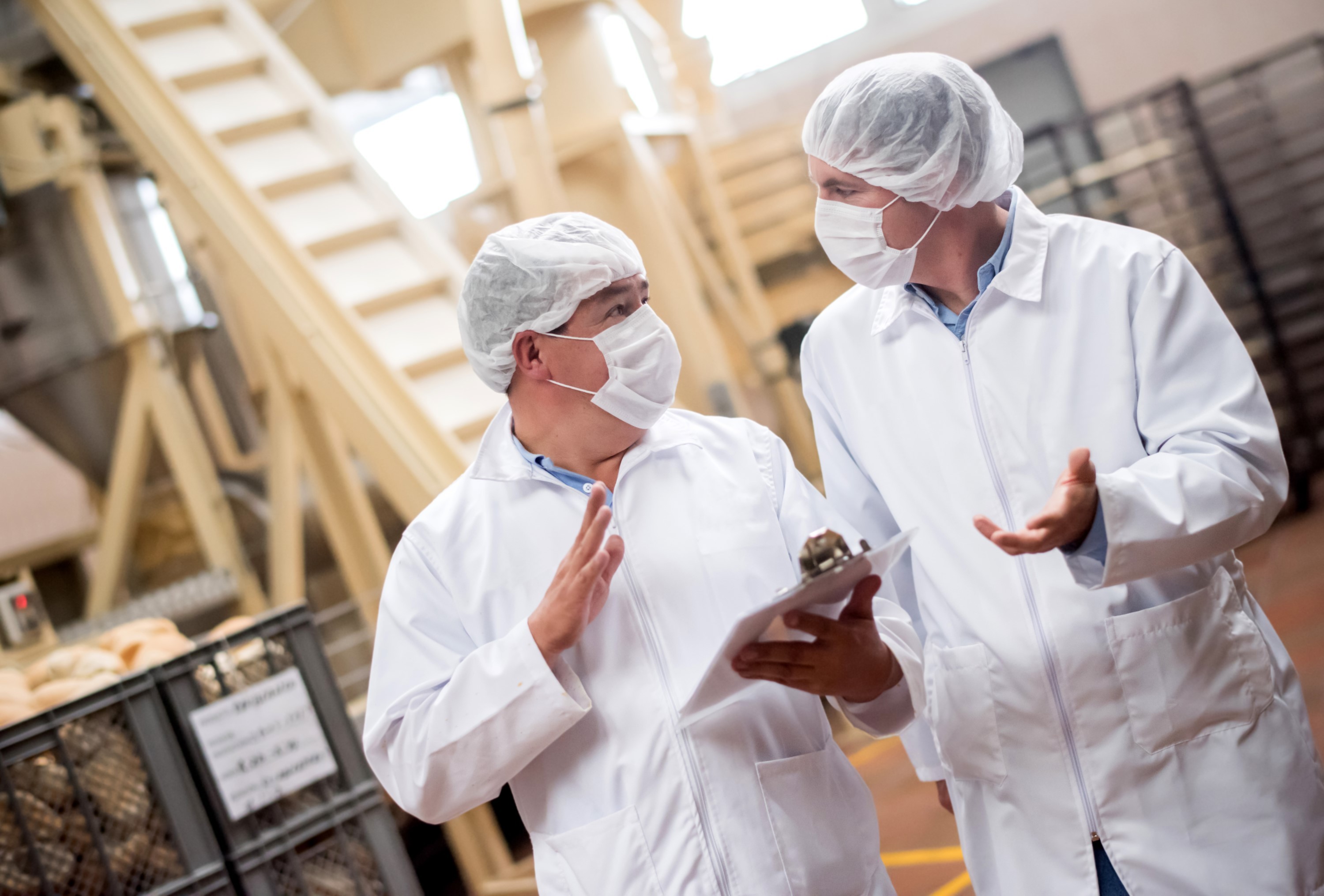 Food auditors auditing a food factory